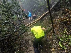 -午潮山国家森林公园