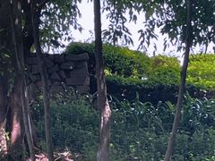 -厦门园林博览苑
