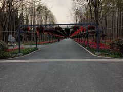 -东平国家森林公园