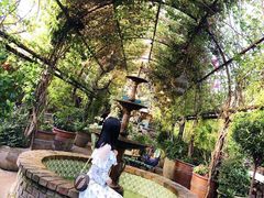 -The Grounds of Alexandria