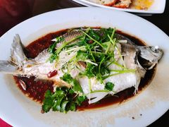 油盐蒸西江边鱼-荣兴河鲜楼