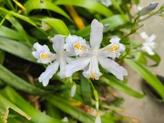 -贵阳市花溪国家城市湿地公园