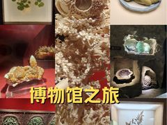 -广东省博物馆