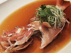 石斑鱼-御宝轩(益丰·外滩源店)