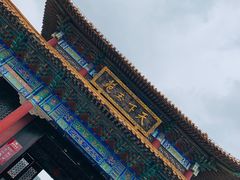 -天下玉苑