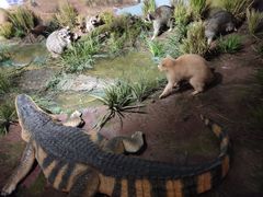 -陕西自然博物馆