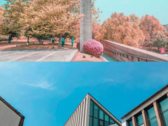-美丽洲堂