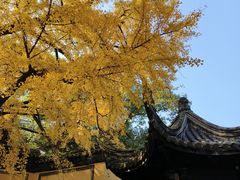 -惠山古镇·寄畅园