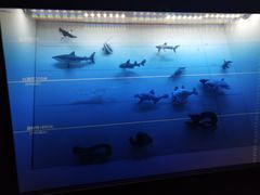 -同济大学四平路校区深海探索馆