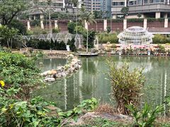 -石排湾郊野公园