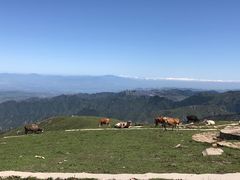 -灵山