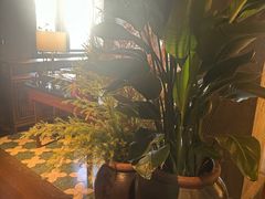 -三号黄浦会Canton Table