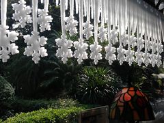 IMAG6395-火车头法国西餐厅