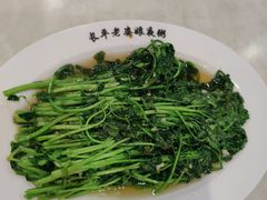 -长平老姿娘夜粥(平东一街店)