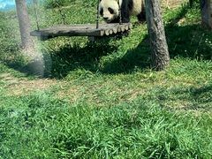 -临沂动植物园