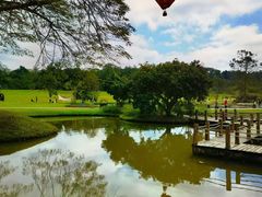 -中国科学院西双版纳热带植物园