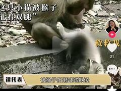 -昆明动物园