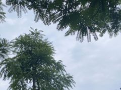 -铁像寺水街