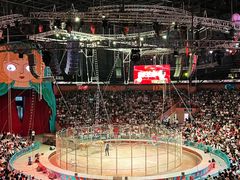 -俄罗斯国家大马戏团