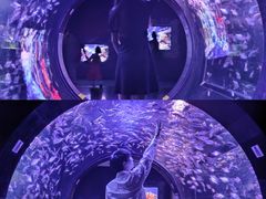 -成都浩海立方海洋公园