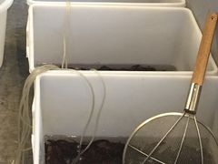 小龙虾-食潮汕头鲜牛馆(望京保利店)