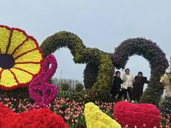 -荷兰花海