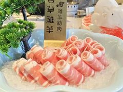 -百草滩羊清水涮羊肉(长城路店)