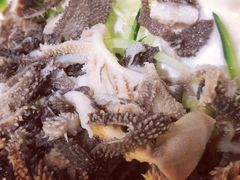 -四姐妹东北饺子(沙尾路店)