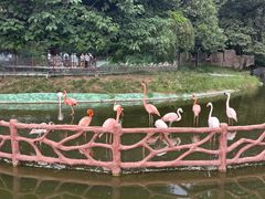 -西安秦岭野生动物园