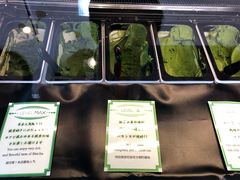 -鎌倉茶々(本店)