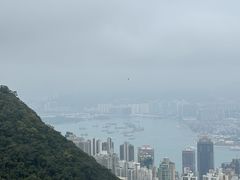 -太平山顶