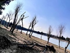 -广富林郊野公园