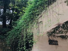 -白云山风景名胜区