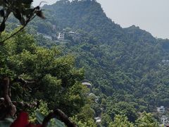 -南山植物园