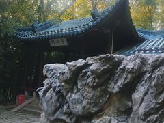 -赭山公园