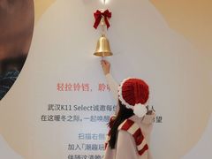 -武汉光谷K11