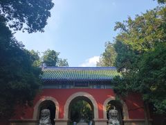 -灵谷景区