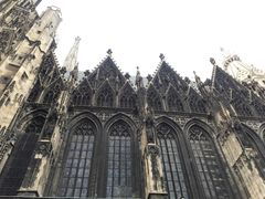 -斯蒂芬主教座堂(Stephansdom)