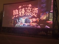 -枫花园汽车电影院(朝阳公园店)