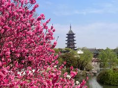 -盘门景区