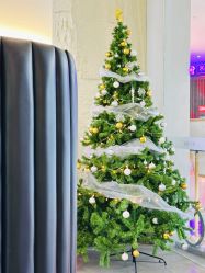 点击看大图 -慕名造型