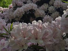 -查茨沃斯庄园