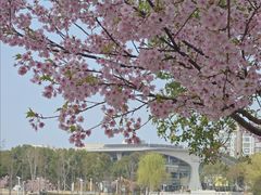 -新江湾城公园