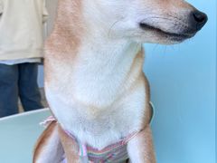 -怪兽屋·羊驼·猫咖·狗咖(俊华广场店)