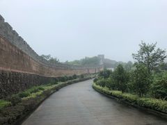 -黄贤森林公园