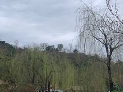 -五凤溪古镇