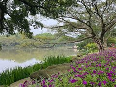 -江心屿景区