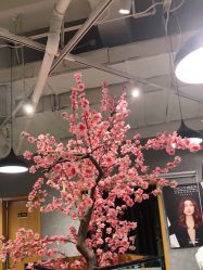 -时尚殿堂明星门店