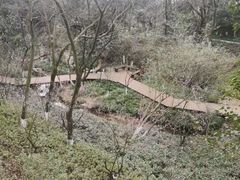 -杭州半山国家森林公园