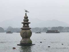 -西湖游船